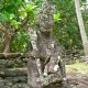 42- Tiki de Hikokua 